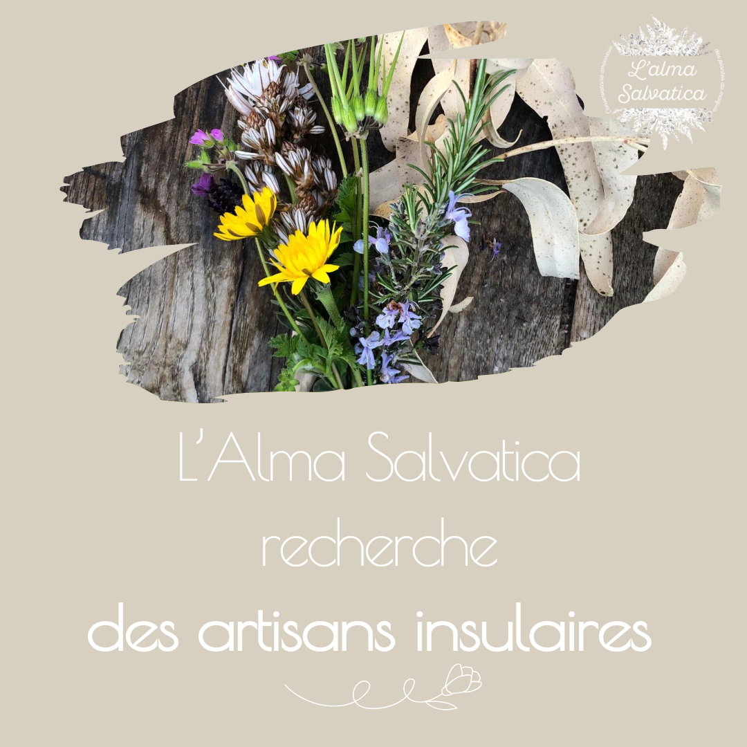 L&rsquo;Alma Salvatica recherche des artisans insulaires