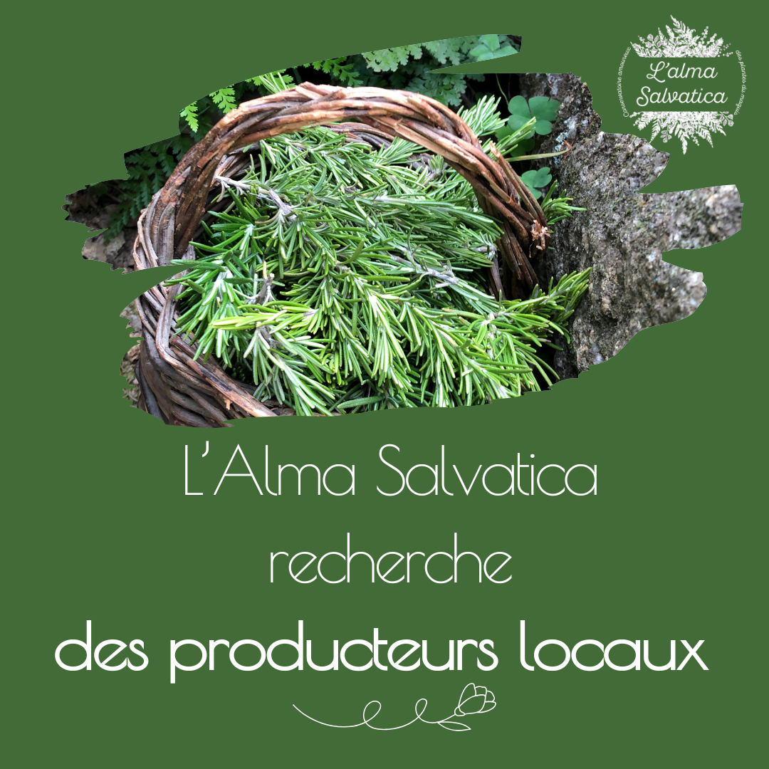 L&rsquo;Alma Salvatica recherche des producteurs locaux
