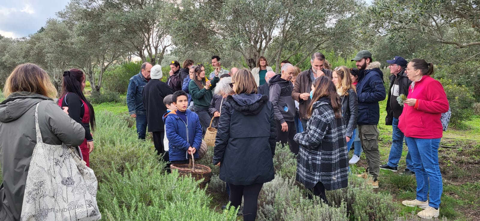 Journée de l&rsquo;inclusion à L&rsquo;Alma Salvatica