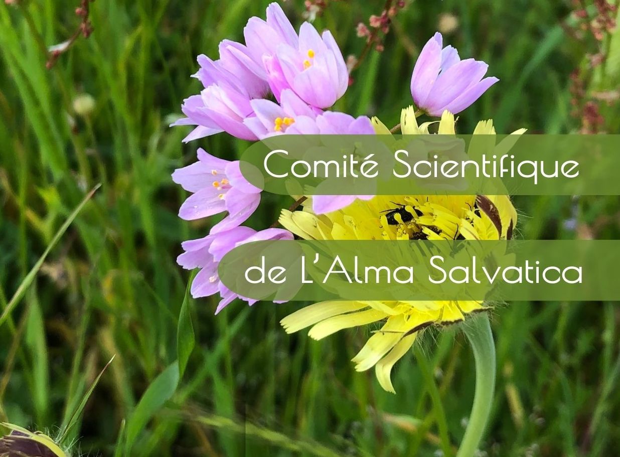 Création du Comité Scientifique de L&rsquo;Alma Salvatica