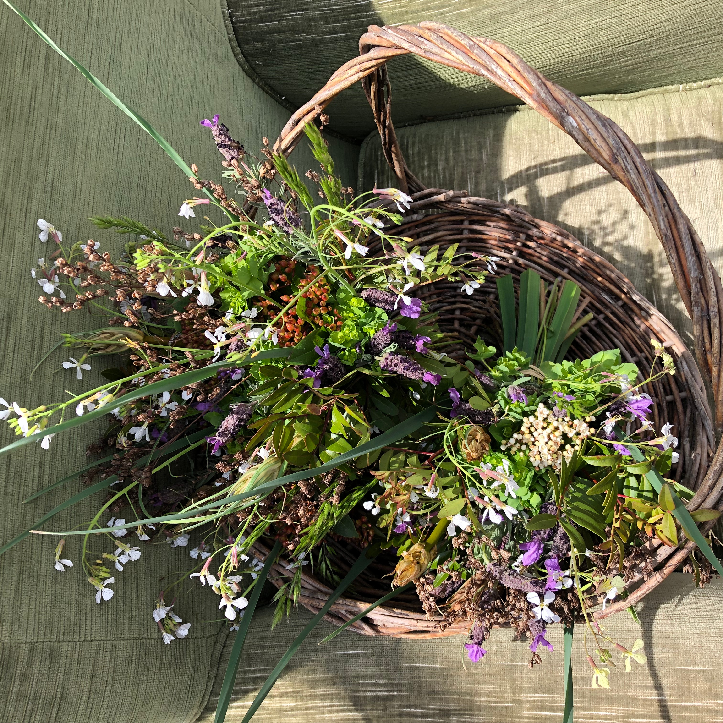 Devenir bénévole à l’Alma Salvatica : un engagement au service de la nature