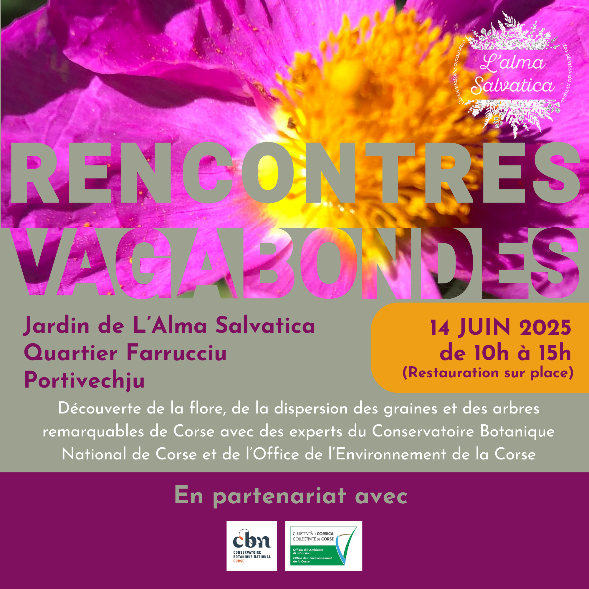 Rencontres vagadondes