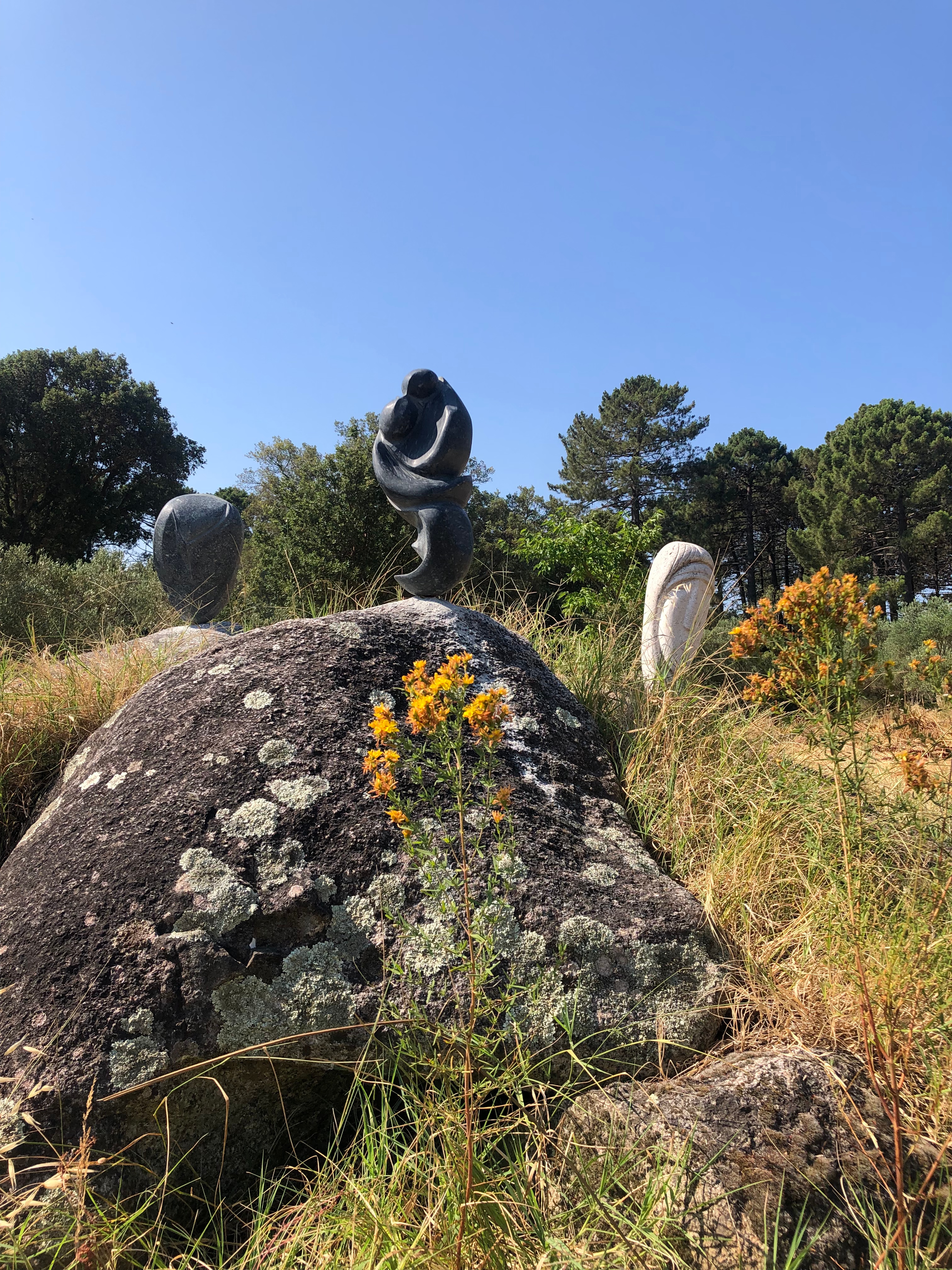 Arti è Cultura di Corsica