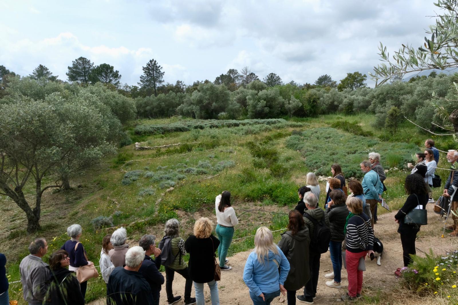 Célébrer la Terre au cœur du vivant : une balade immersive à Portivechju