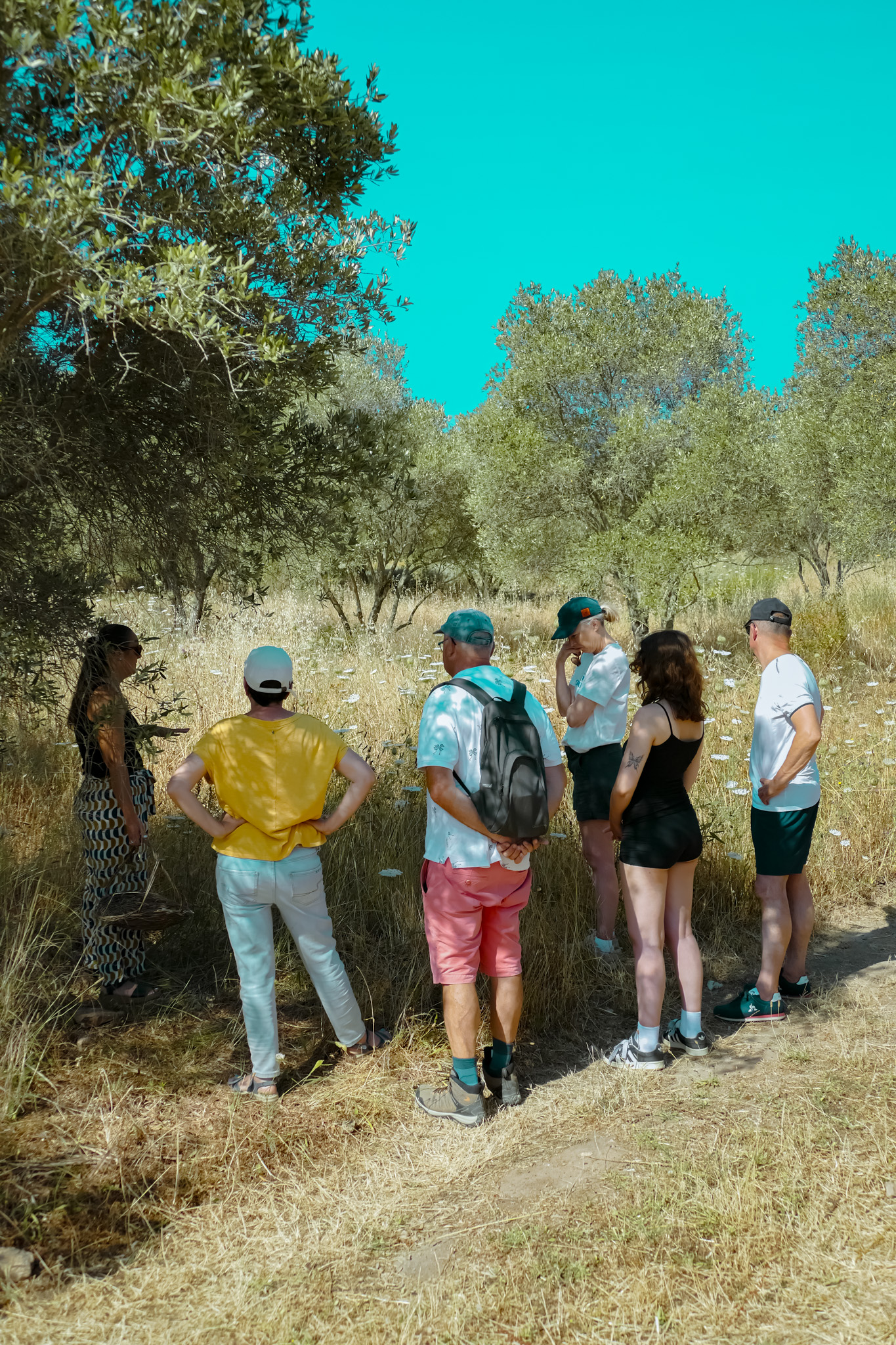 Respirez le maquis – Tous les dimanches à l’Alma Salvatica à Porto-Vecchio